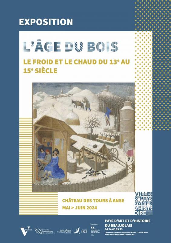 Affiche age du bois 2